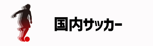 国内サッカー