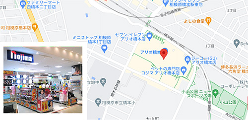 ノジマアリオ橋本店