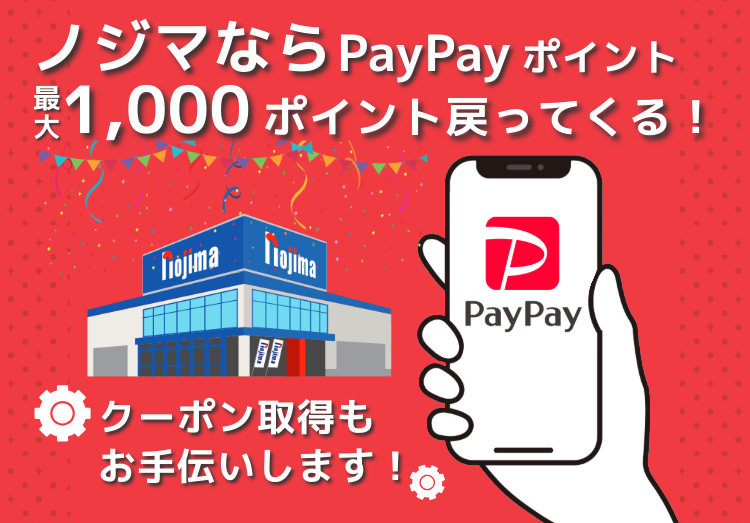 PayPayの概要